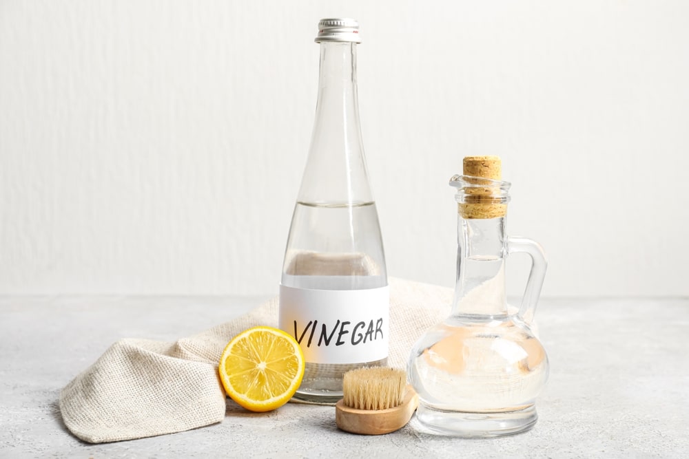 Bottles Of Vinegar Brush Lemon And Napkin On Table